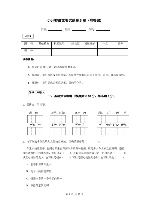 小升初语文考试试卷B卷 (附答案)