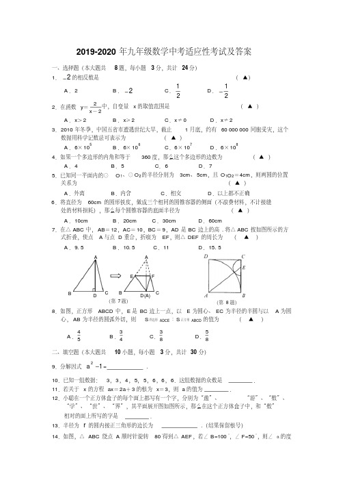 2019-2020年九年级数学中考适应性考试及答案