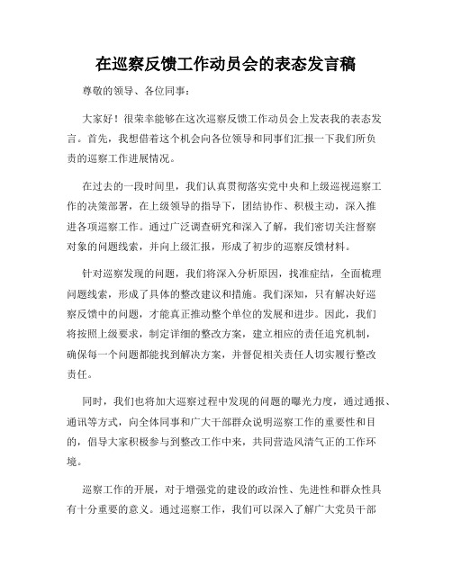 在巡察反馈工作动员会的表态发言稿