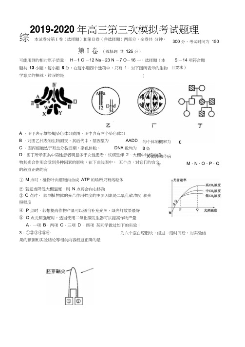 2019-2020年高三第三次模拟考试题理综