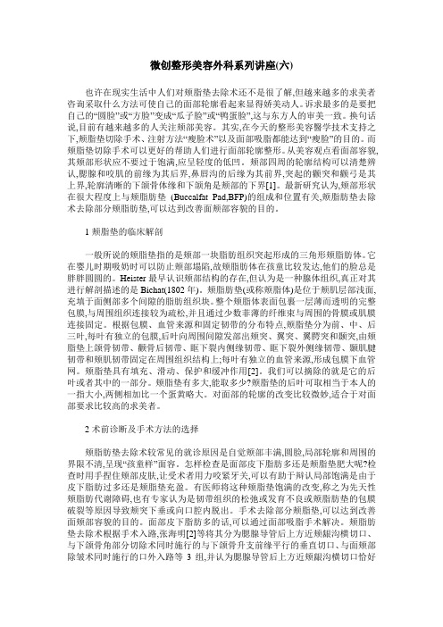 微创整形美容外科系列讲座(六)