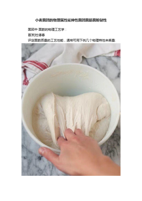 小麦面团的物理属性延伸性面团面筋面粉韧性