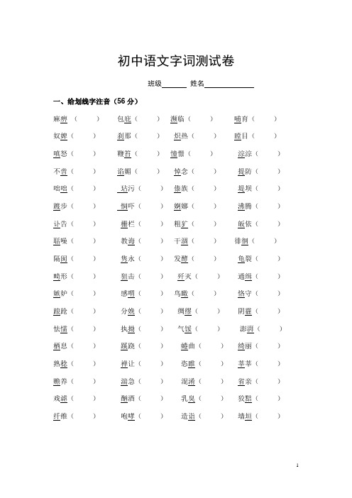 中考语文字词测试题