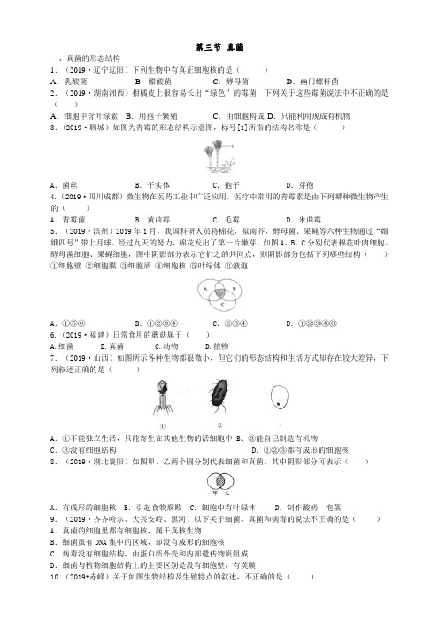 2019年中考生物真题分类：真菌