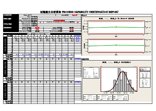 过程能力分析CPK(完美版)