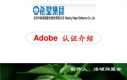 Adobe认证介绍