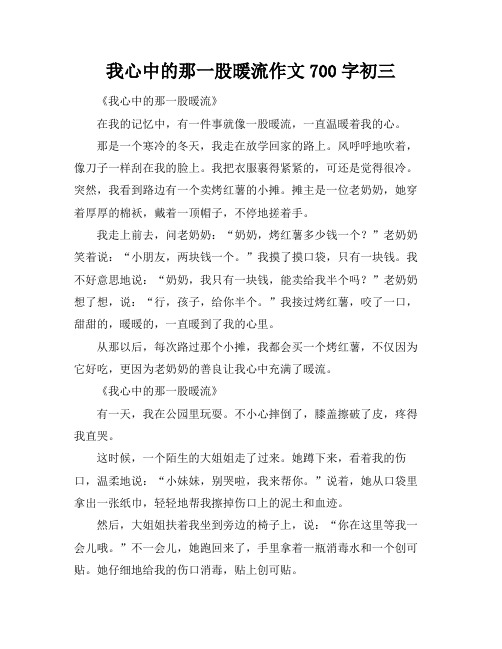 我心中的那一股暖流作文700字初三