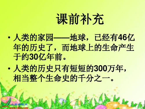 2022年鄂教版小学科学六下《化石》公开课课件2