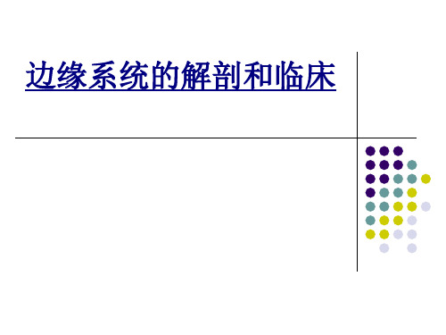 边缘系统的解剖和临床讲义