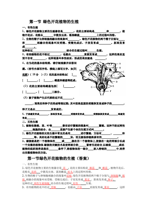 冀教版八年级下册生物第一节绿色开花植物的生殖知识要点.