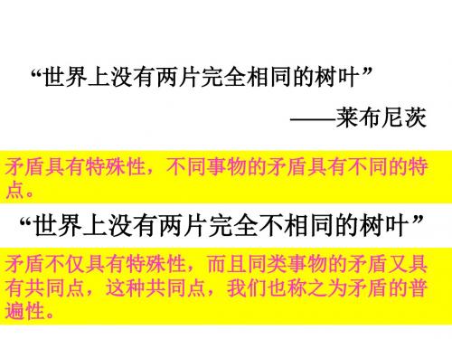 高二政治矛盾的普遍性和特殊性的关系