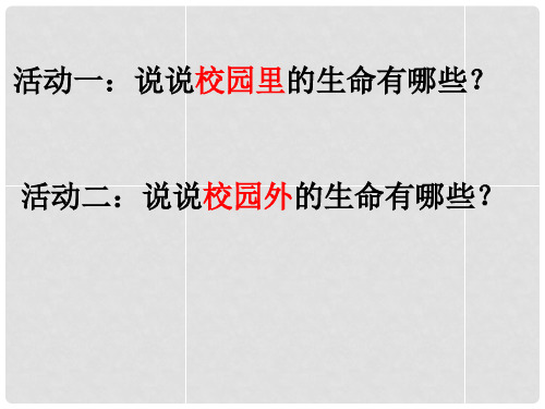 七年级政治上册 第三课 第一框 世界因生命而精彩课件 