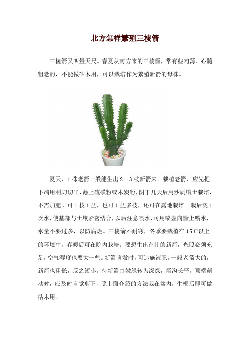 北方怎样繁殖三棱箭