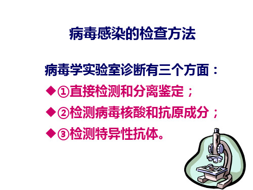 病毒感染的检查方法与防治原则