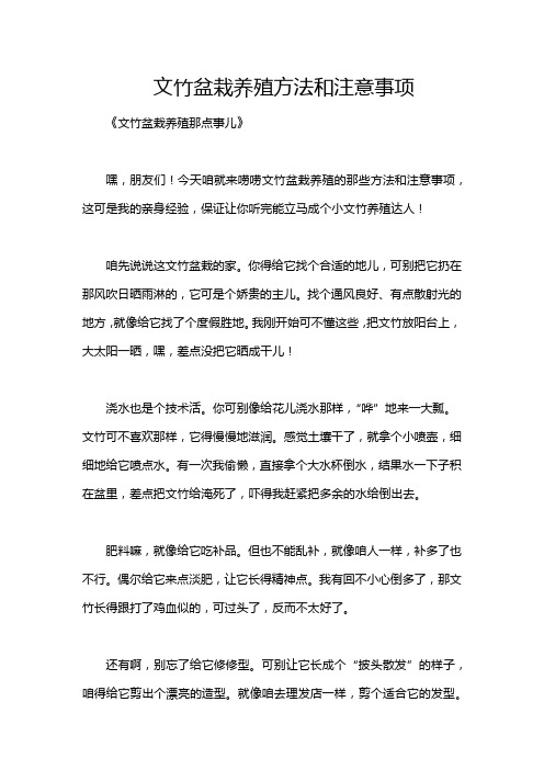 文竹盆栽养殖方法和注意事项