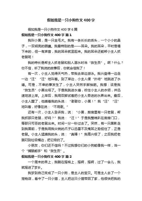 假如我是一只小狗作文400字6篇