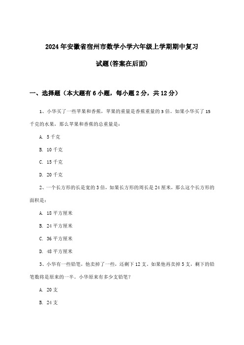 安徽省宿州市数学小学六年级上学期期中试题及解答参考(2024年)