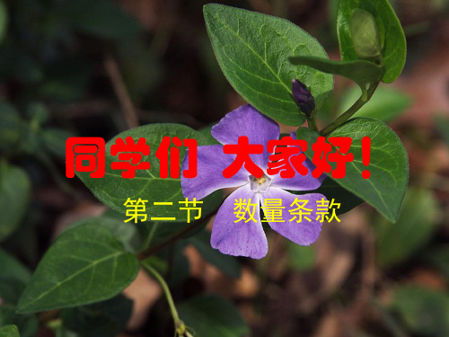 第二节    数量条款