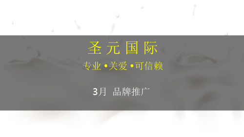 母婴奶粉品牌圣元3月品牌推广策划方案