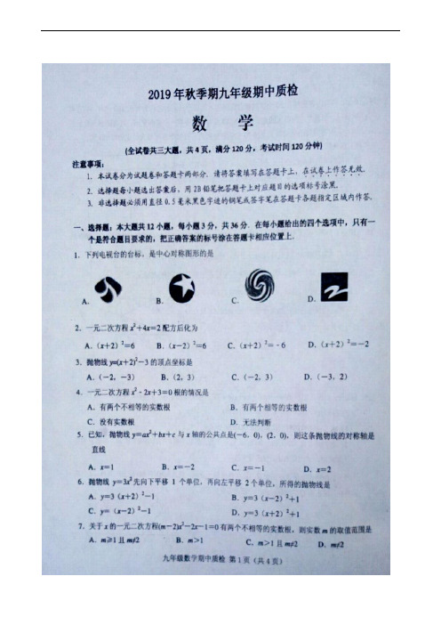 广西玉林市博白县2020届九年级上学期期中质检数学试题(扫描版)