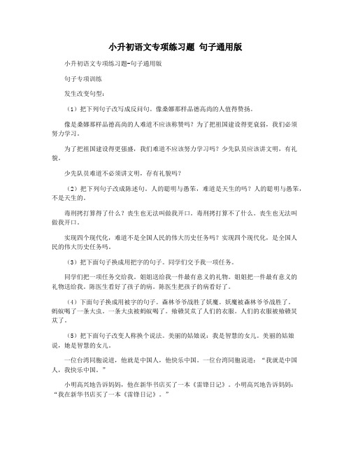 小升初语文专项练习题 句子通用版