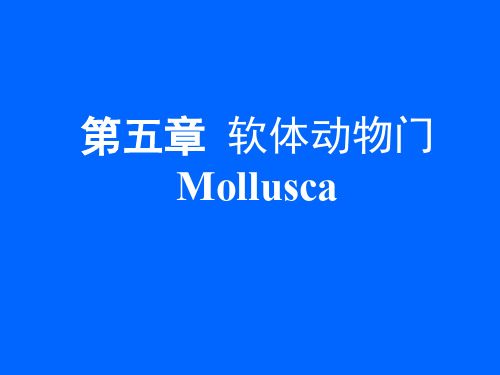 软体动物门Mollusca