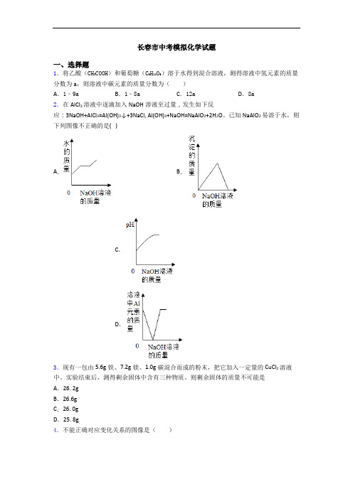 长春市中考模拟化学试题