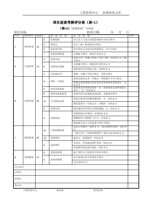 项目综合巡查考核评分表(详细)