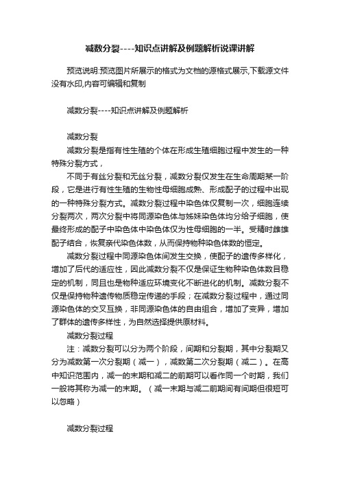 减数分裂----知识点讲解及例题解析说课讲解