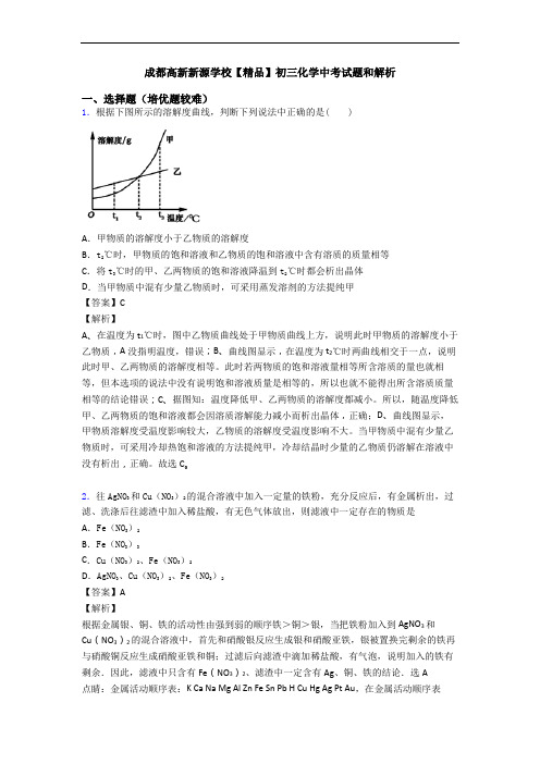 成都高新新源学校【精品】初三化学中考试题和解析