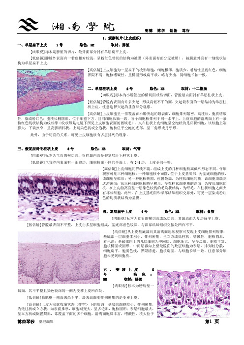 观察切片