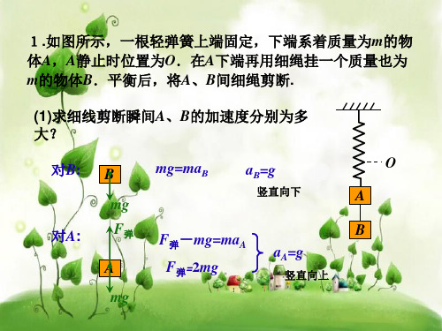 力学中的弹簧问题PPT教学课件