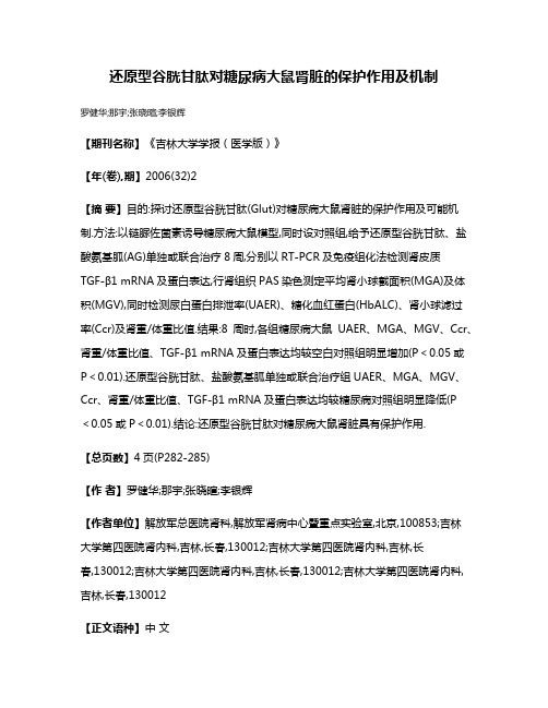 还原型谷胱甘肽对糖尿病大鼠肾脏的保护作用及机制