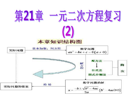 人教版数学九年级上册《一元二次方程》复习PPT课件