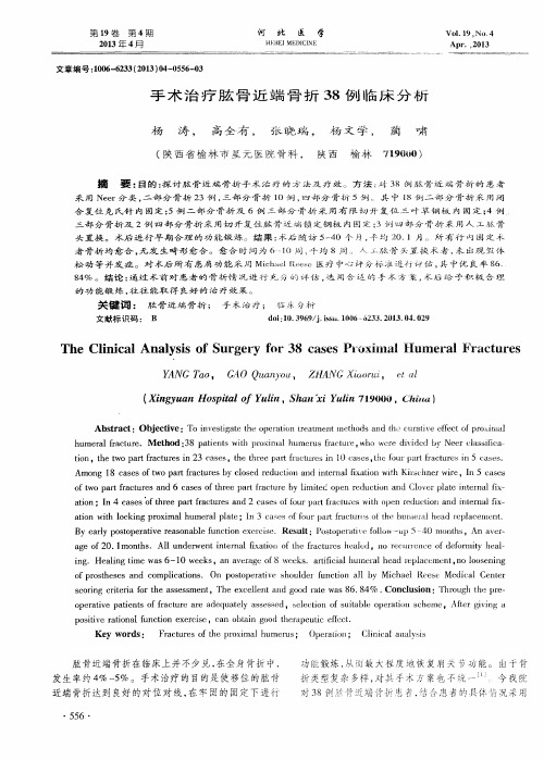 手术治疗肱骨近端骨折38例临床分析