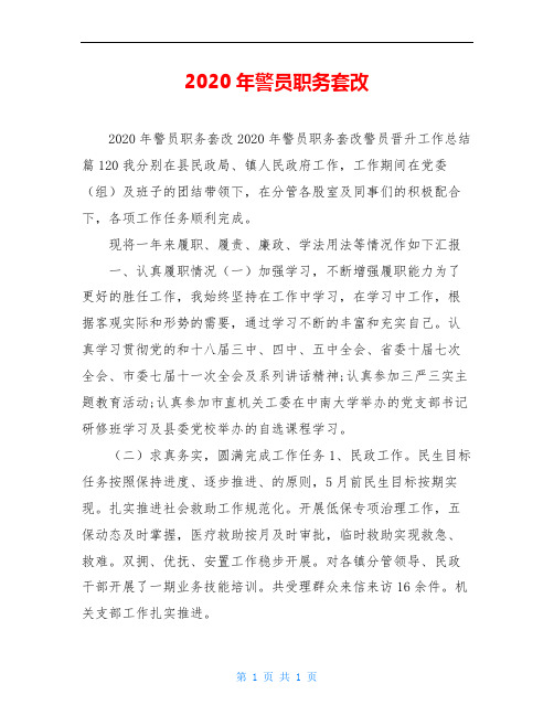 2020年警员职务套改