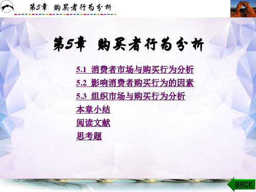 营销管理第5章