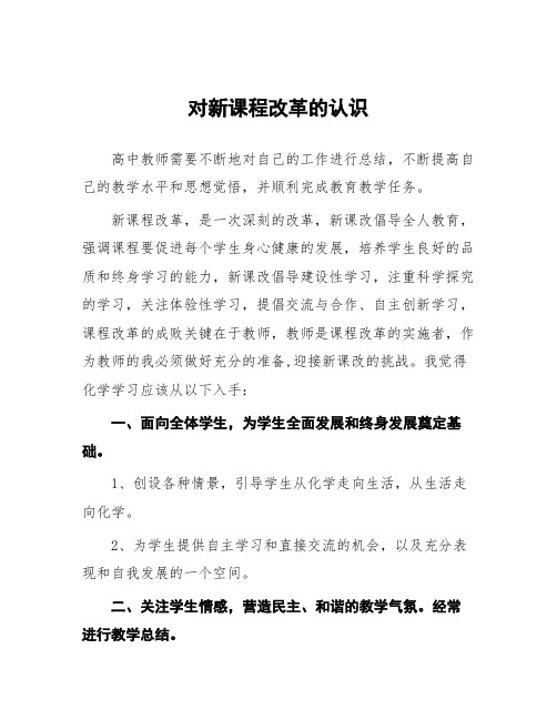 顶岗实习心得体会：对新课程改革的认识