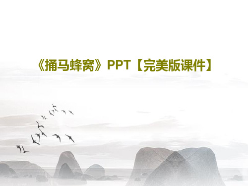 《捅马蜂窝》PPT【完美版课件】25页PPT