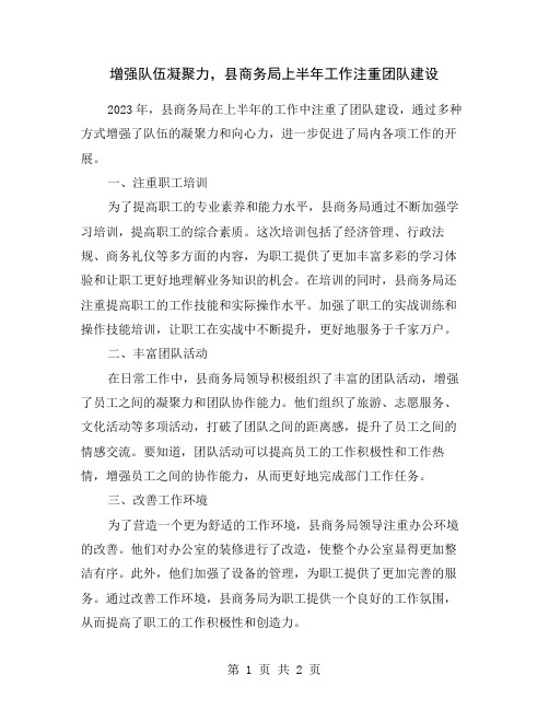 增强队伍凝聚力,县商务局上半年工作注重团队建设