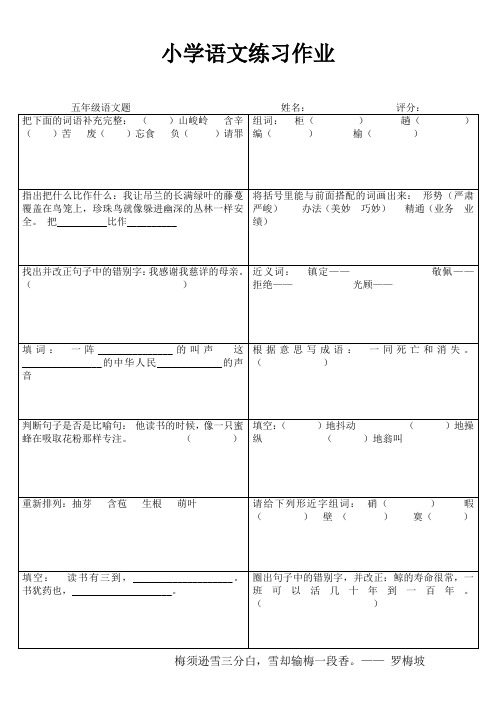 小学五年级语文精作细练II (8)