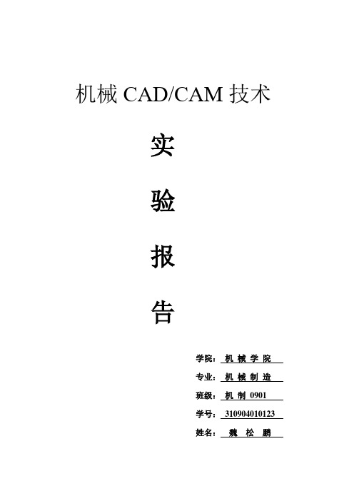 CAD CAM实验---魏松鹏