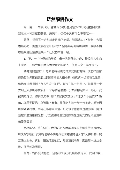 恍然醒悟作文