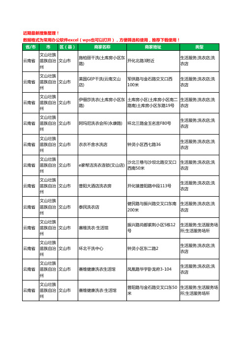 2020新版云南省文山壮族苗族自治州文山市洗衣店工商企业公司商家名录名单黄页联系方式大全33家