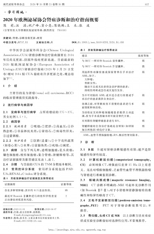 2020年欧洲泌尿协会肾癌诊断和治疗指南概要