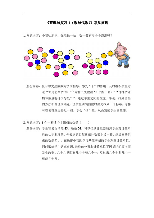 《整理与复习1数与代数》常见问题