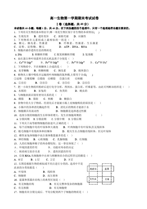 高一生物第一学期期末考试试卷AnKAlP