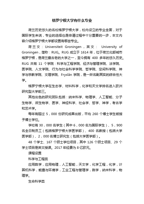 格罗宁根大学有什么专业