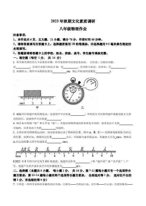 河南省南阳市西峡县2023-2024学年八年级上学期11月期中物理试题(含答案)