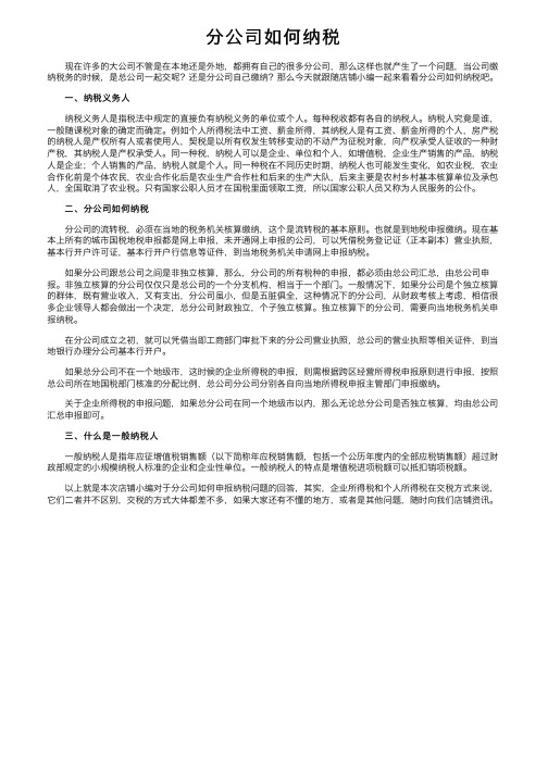 分公司如何纳税